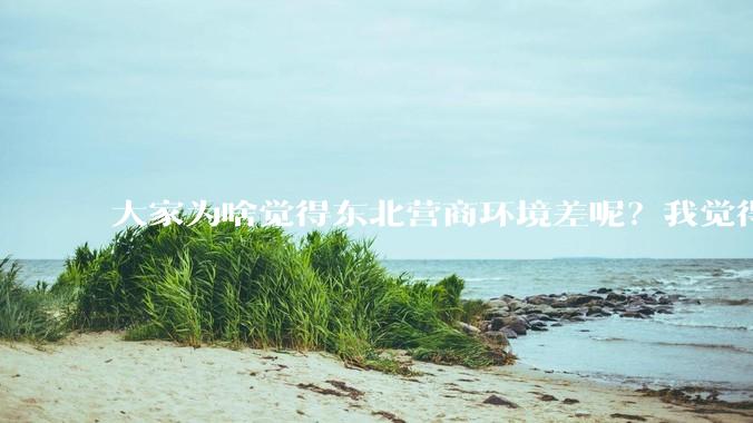 大家为啥觉得东北营商环境差呢？我觉得至少比关内的一些省好多了！?