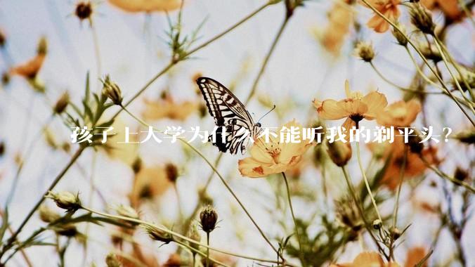 孩子上大学为什么不能听我的剃平头？