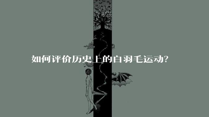 如何评价历史上的白羽毛运动？