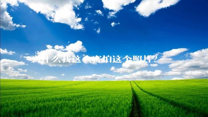 为什么我这么害怕这个照片？