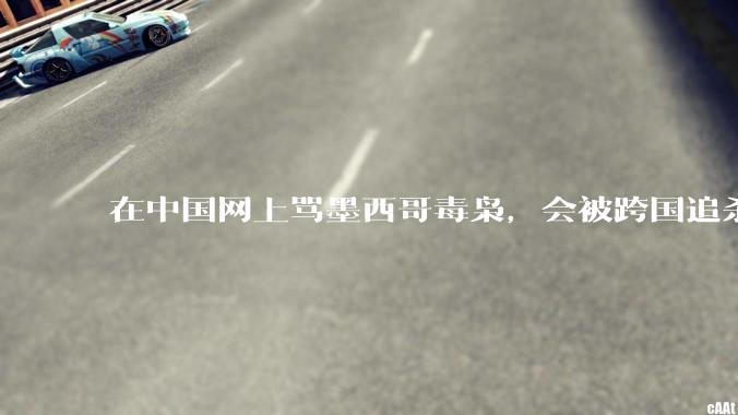 在中国网上骂墨西哥毒枭，会被跨国追杀吗？