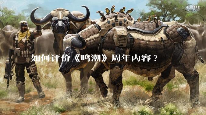 如何评价《鸣潮》周年内容?